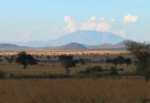 what is the best safari region of Uganda